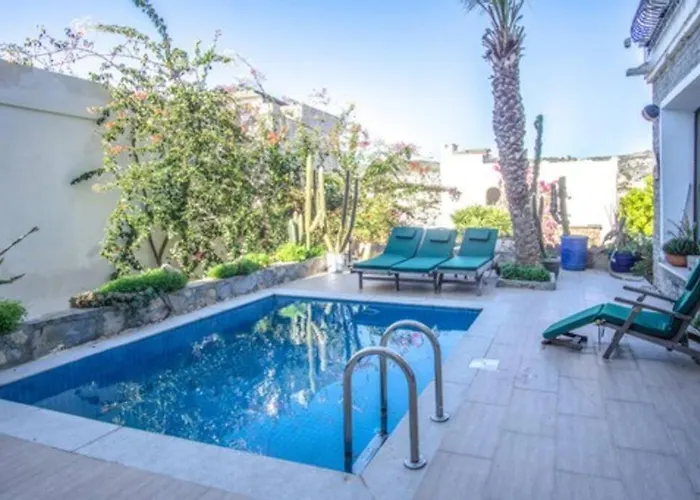 Dolphin Αλικαρνασσός