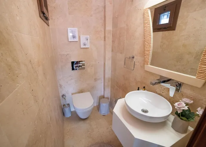 Dolphin Villa
