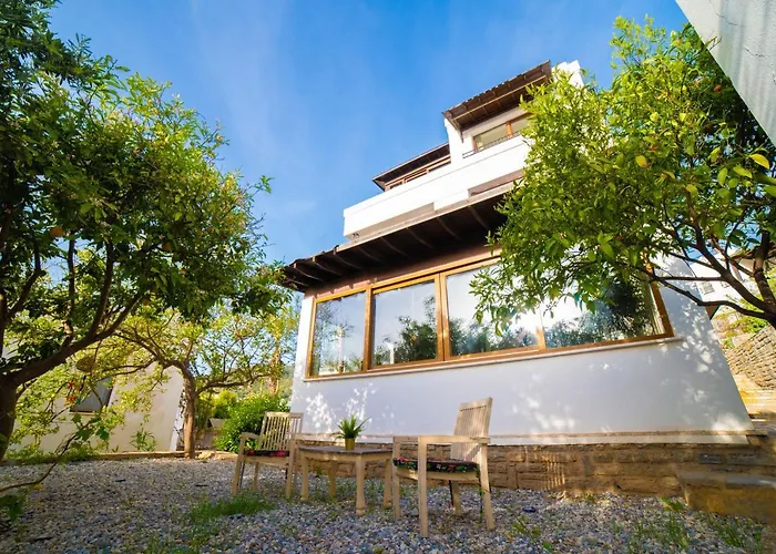 Dolphin Αλικαρνασσός