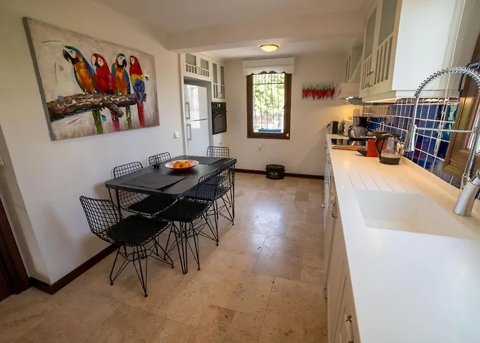 Dolphin * Αλικαρνασσός