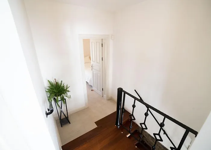 Dolphin Βίλα Αλικαρνασσός