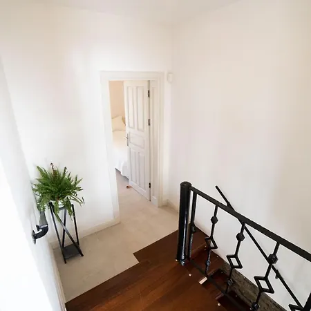 Dolphin Villa Bodrum