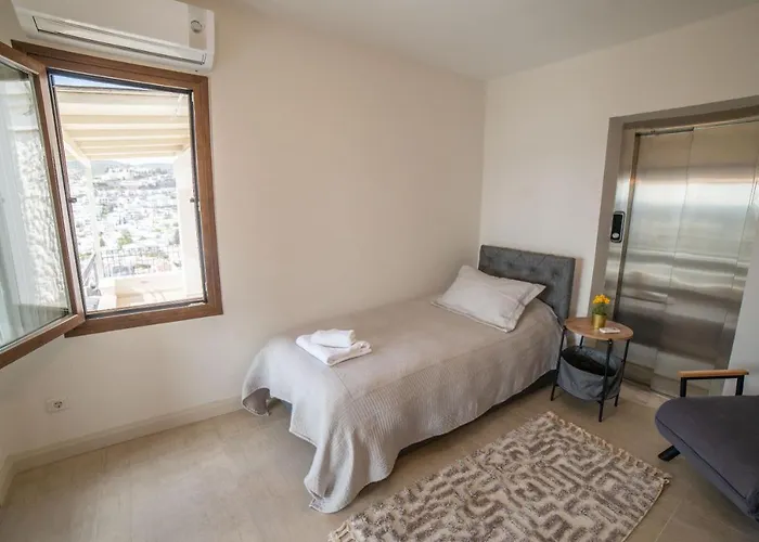 Dolphin * בודרום