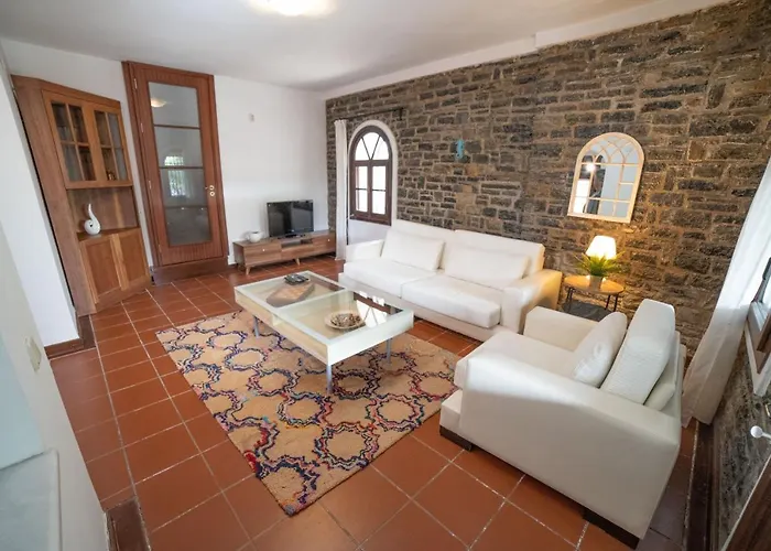 Dolphin בודרום